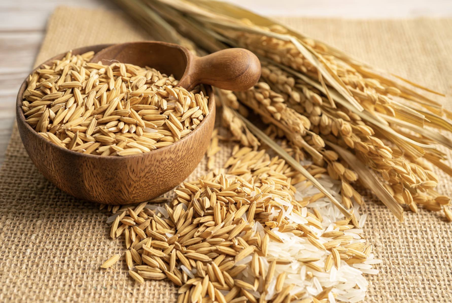 Lire la suite à propos de l’article Le guide de la vitamine B1