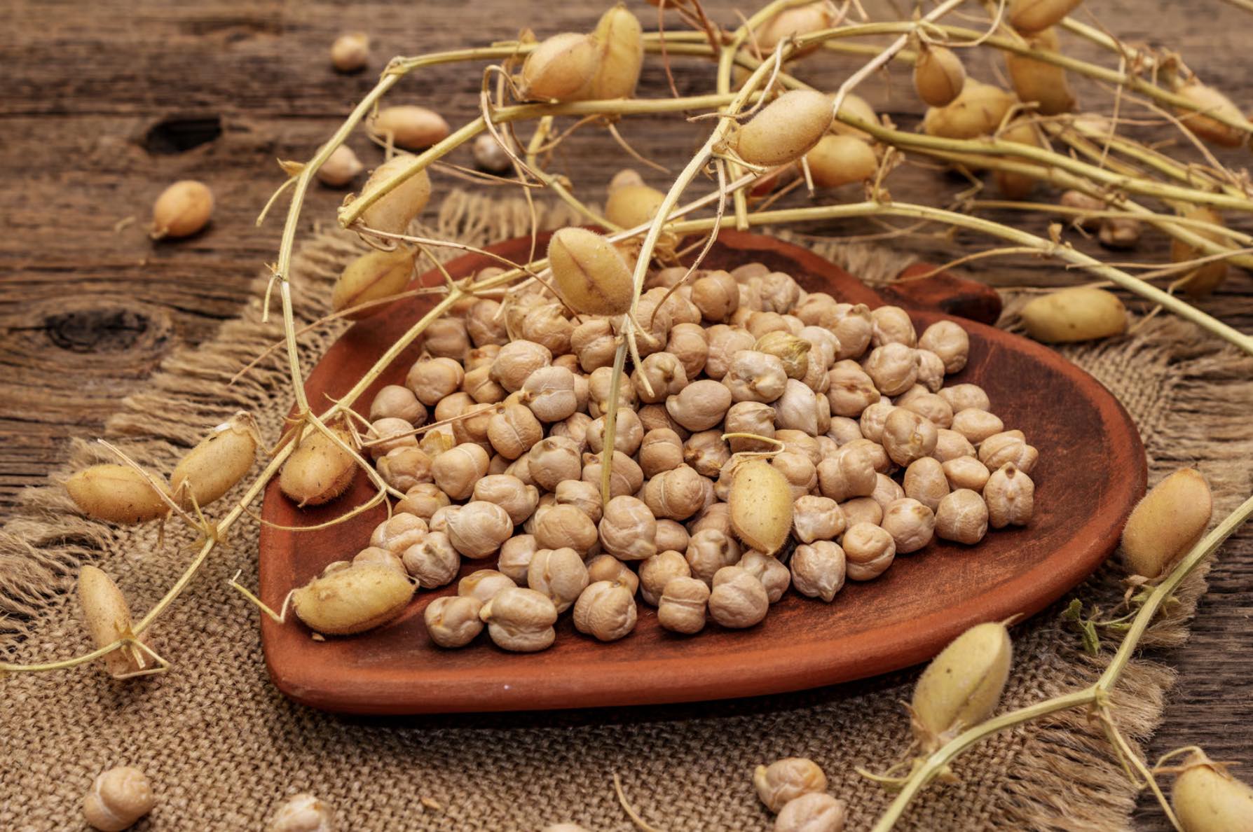 Lire la suite à propos de l’article Le guide de la vitamine B9