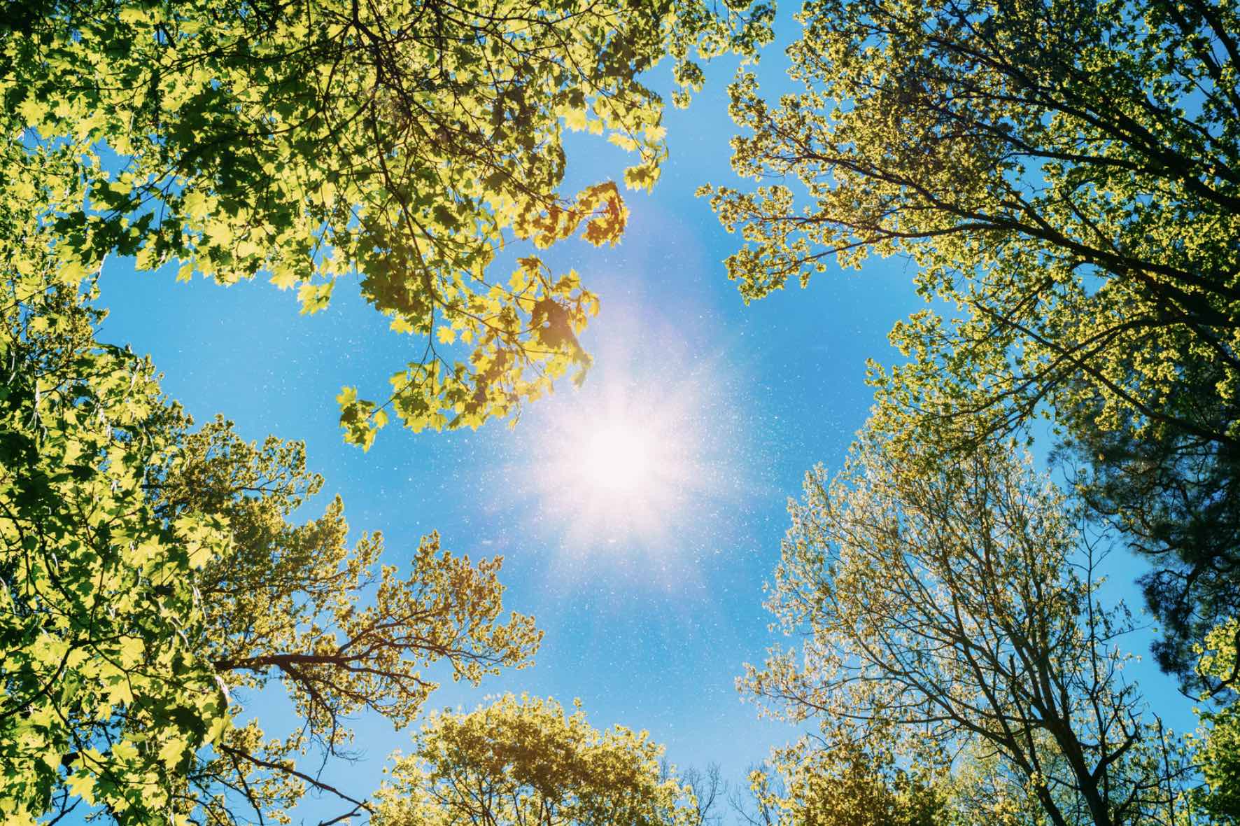 Lire la suite à propos de l’article Le guide de la vitamine D