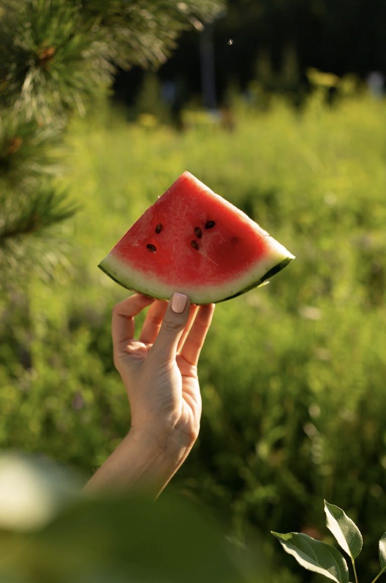 Lire la suite à propos de l’article Alimentation et canicule : les meilleurs aliments pour rester hydraté